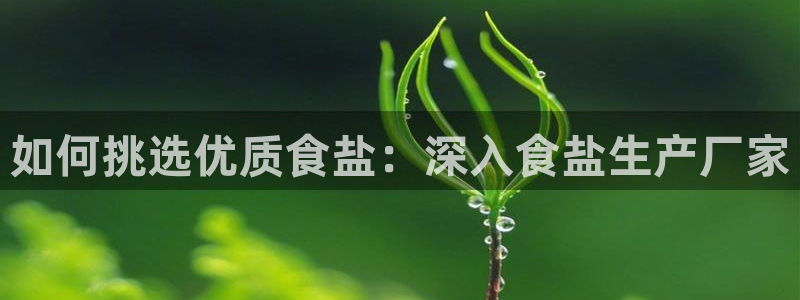 威九国际可以提现吗现在