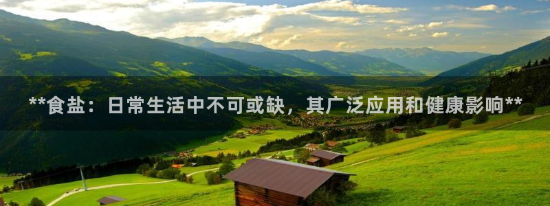 威九国际mm
