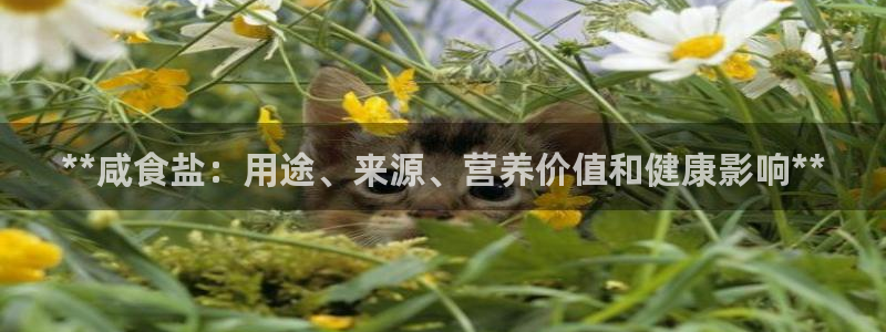 威九国际网站人入口