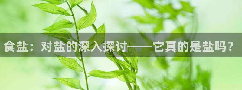 威九国际官方入口