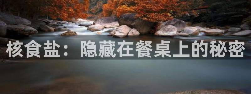 威九国际电子有限公司