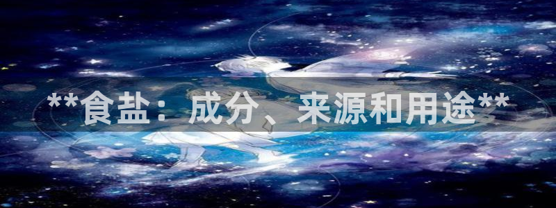 威九国际软件公司简介