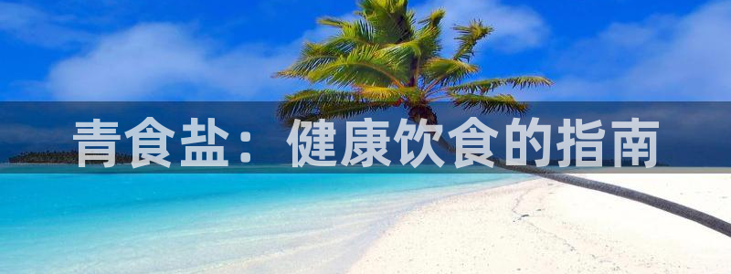威九国际软件公司简介