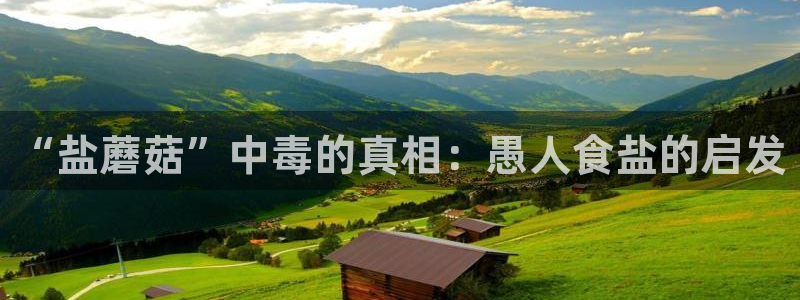 威九国际78mb官网版