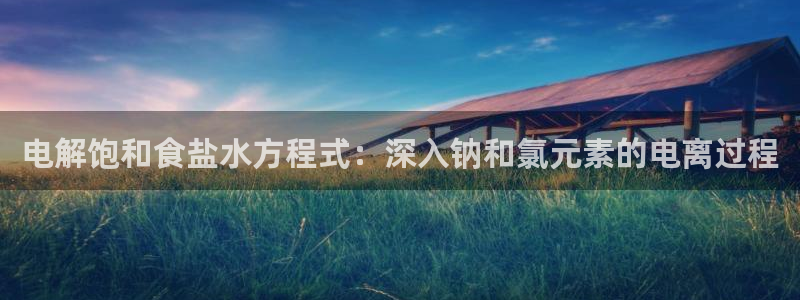 威九国际v9