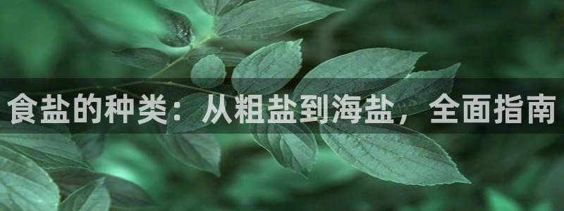 威九国际APP下载