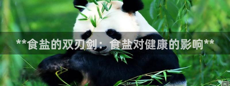 威九国际的网站入口在哪里