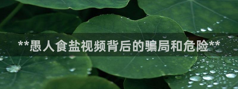 威九国际app哪个地方